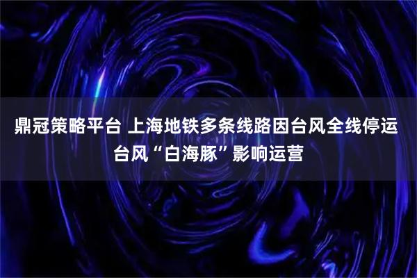鼎冠策略平台 上海地铁多条线路因台风全线停运 台风“白海豚”影响运营