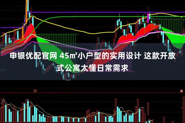申银优配官网 45㎡小户型的实用设计 这款开放式公寓太懂日常需求